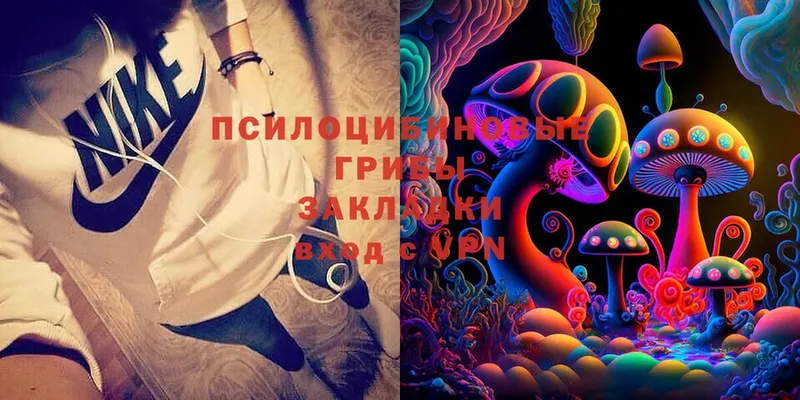 omg ссылка  Ефремов  Галлюциногенные грибы Cubensis  продажа наркотиков 